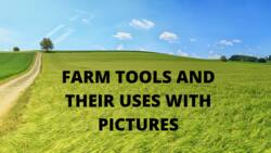 Common farm tools and equipment: Names, uses, and pictures
