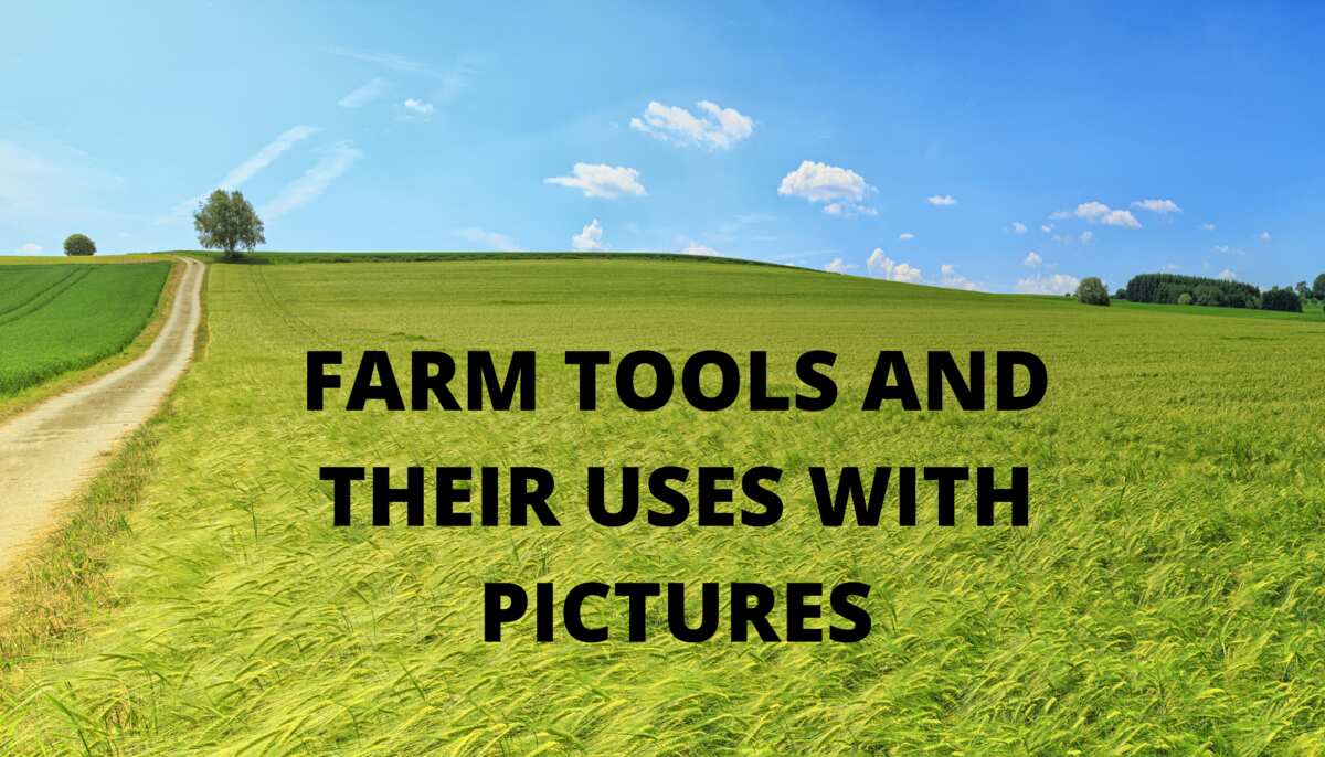 modern agricultural machines with their names and uses
