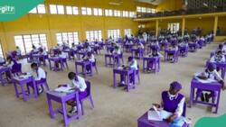 WASSCE 2023: Students from 235 schools use AI to answer exam questions in Ghana, WAEC takes action