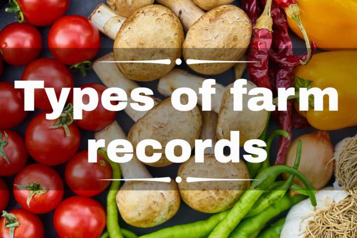 What Are 3 Types Of Farm Records