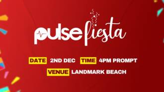 Pulse Nigeria Presents Pulse Fiesta 3.0 — The Ultimate Detty December Experience!