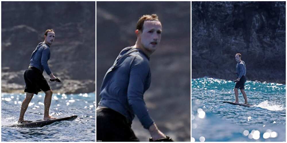 Facebook Boss Mark Zuckerberg Reacts to Viral Pictures that Caught him Covered in Sunscreens
