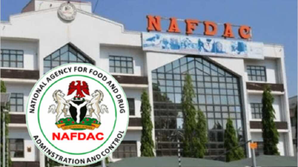 Ma'aikatan NAFDAC sun shiga yajin aiki