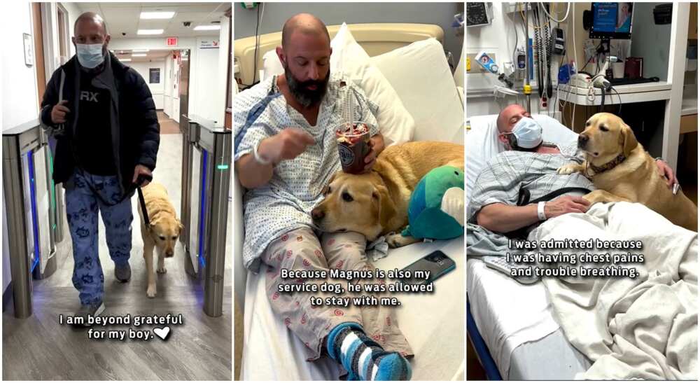 Photos of a man and his dog named Magnus.