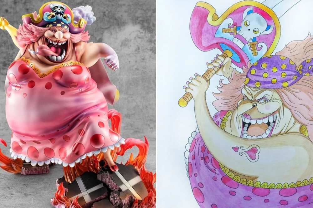 female one piece characters female one piece characters