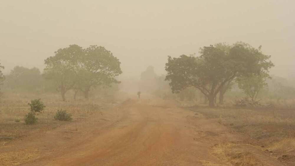 NiMet predicts dust haze, mist, fog conditions for Saturday, December 21