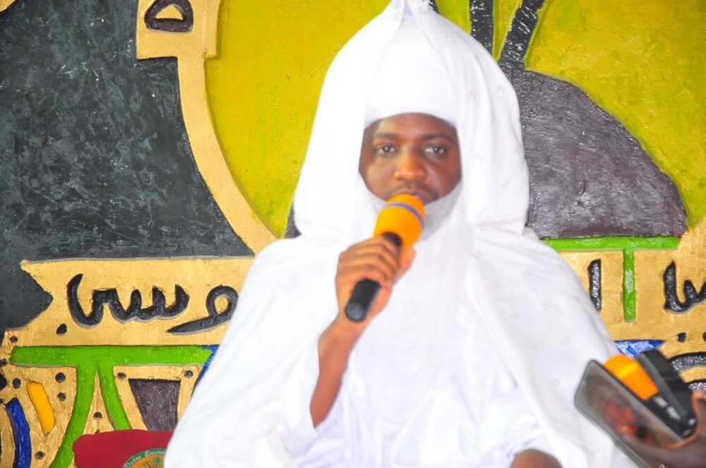 Sarki Sarki