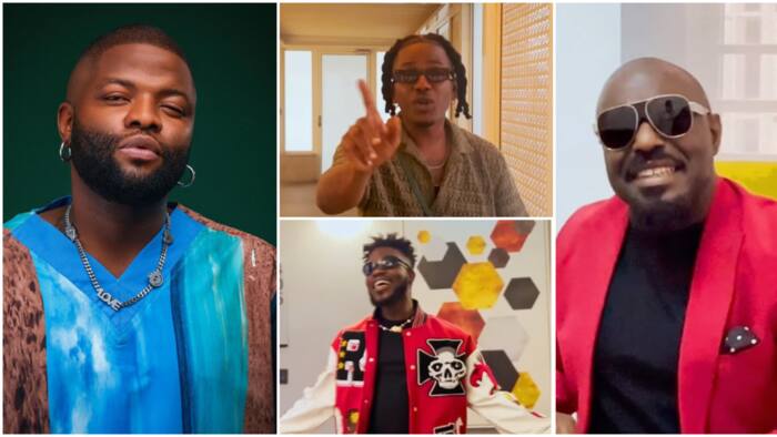 Jim Iyke, Mr Macaroni, Timini, Broda Shaggi, Ebuka, other celebs jump on Skales' new song, he shares video