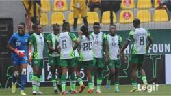 Top Nigerian businessman splashes N20m on Super Falcons 99' squad and current team after giving S'Eagles same amount