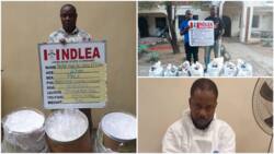 NDLEA arrests popular pastor with 3 drums of ‘Mkpuru-Mmiri’, releases photo