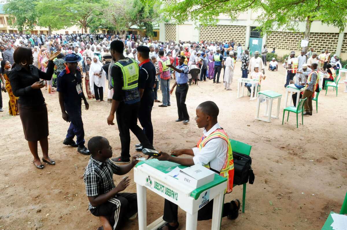 Image result for election nigeria