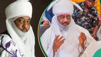 “From a religious perspective”: Why I can’t support Sanusi’s reinstatement, Islamic cleric speaks