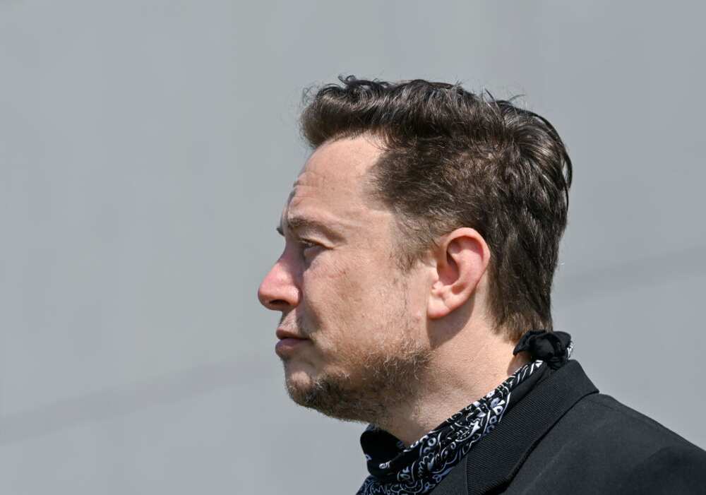 Elon Musk, Tesla, Shareholder, Investor