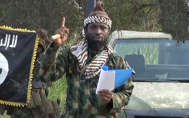 Abubakar Shekau Dead? Nigerians React to Unconfirmed Reports About Factional Boko Haram Leader