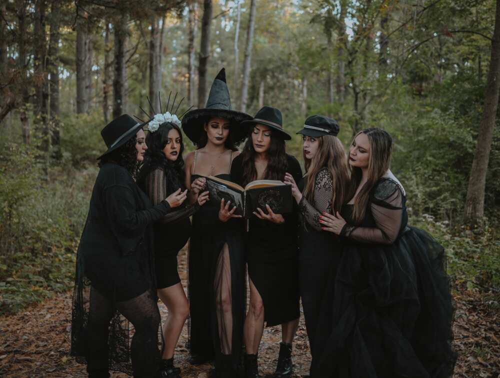 rowena 3 types of witches｜TikTok Search
