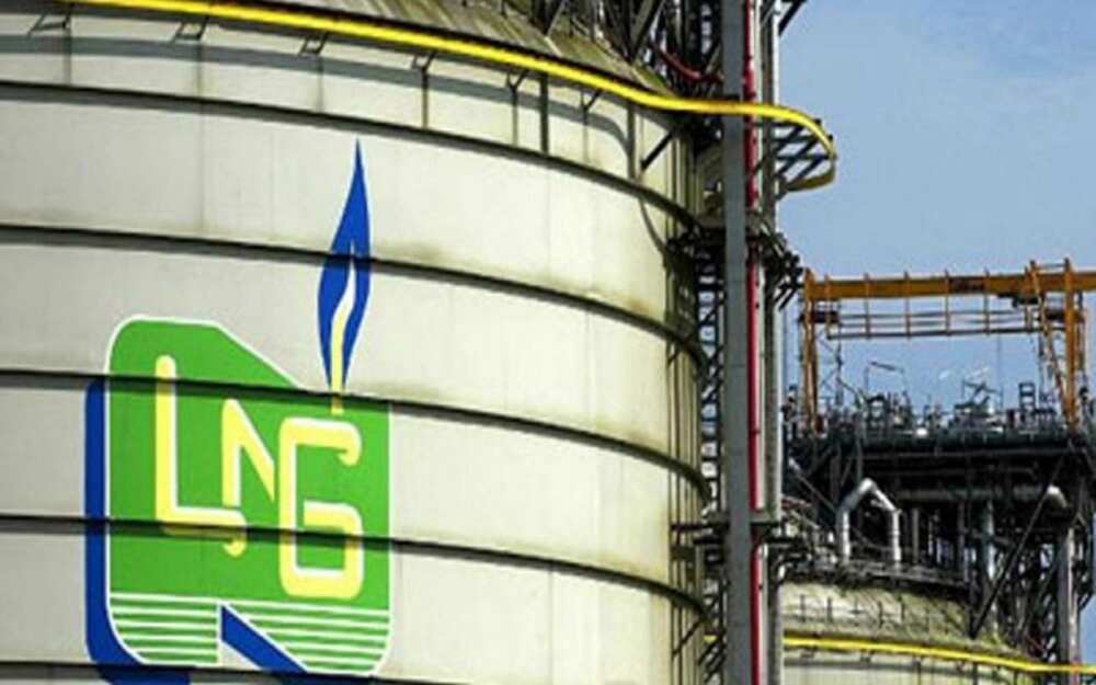 NLNG gives important reason why it cut down exports of cooking gas