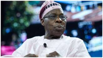 I regret voting my vice in 1999, says former President Obasanjo