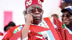 Tinubu’s victory speech: How APC's 2023 presidential candidate expressed anger in sarcasm