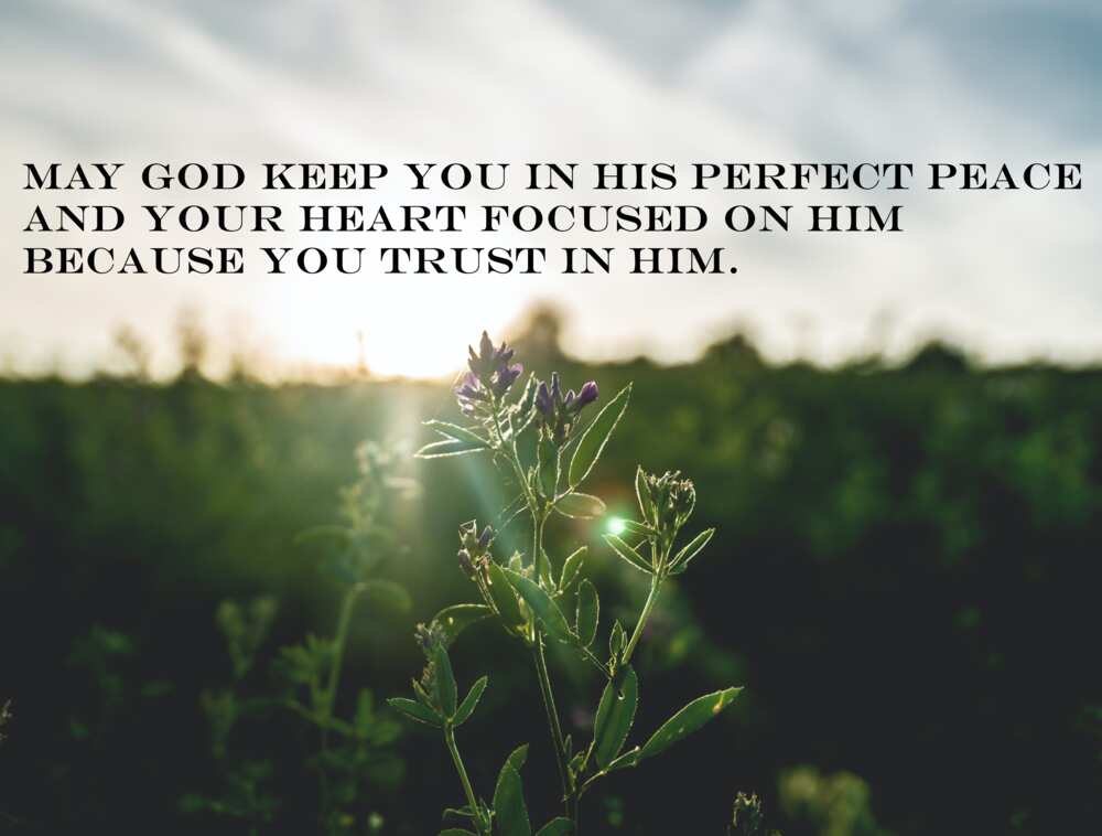 good morning sunday blessings good morning sunday blessings