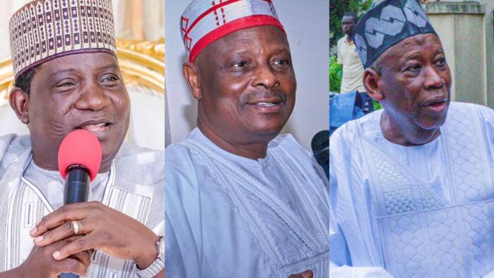Tinubu's ministerial list: Kwankwaso and other prominent politicians whose names are missing