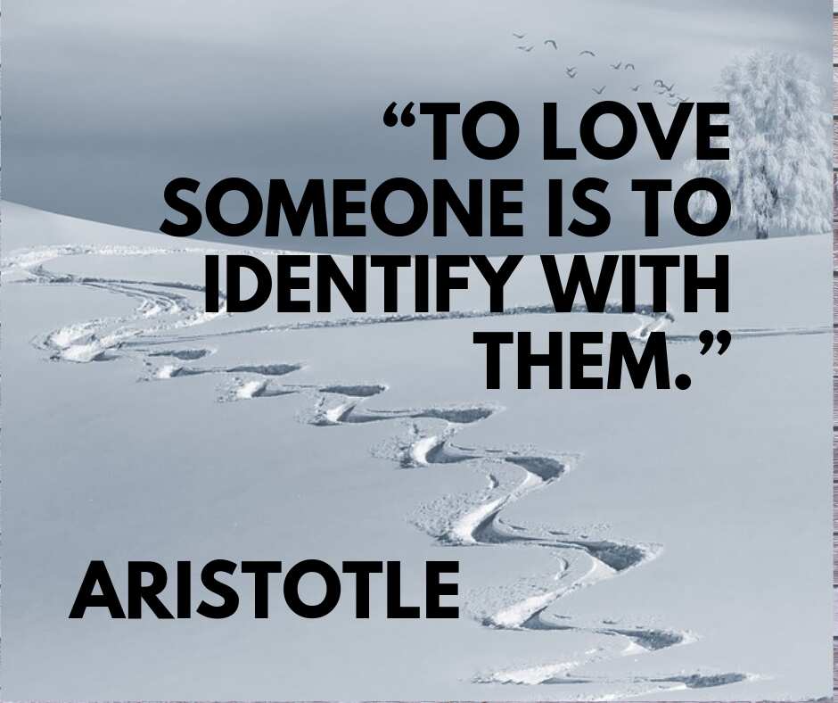 30 Famous Aristotle Quotes On Education Love And Life Legit Ng