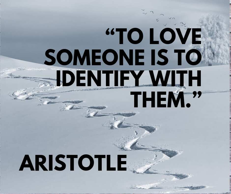 Aristotle quotes on love