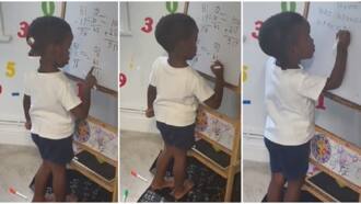 "He will be a professor of Mathematics": Video shows 3-year-old boy solving Maths like adult, he goes viral