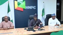 “Benefits equal to cash”: Kyari makes promises as NNPC top management staff get sacked
