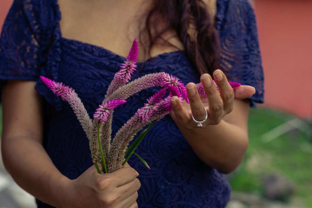 A woman holding purple celosia flowers