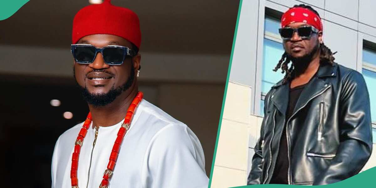 OMG ! See the way fans blasted Paul Okoye after advising men to chase after rich women