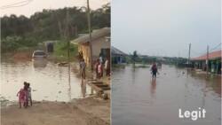 As flood ravages 34 states in Nigeria, UNICEF gives details of children affected, way forward