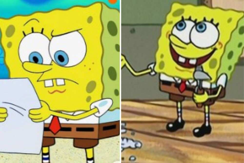 SpongeBob SquarePants' age