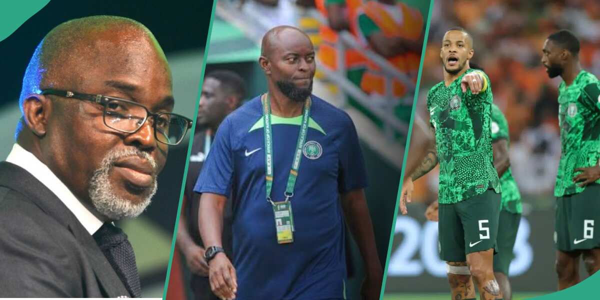Super Eagles' coach: Former NFF president reveals best candidate for top job
