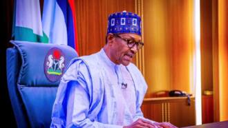 2023 presidency: "God willing, this will be my successor", Buhari breaks silence
