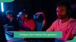 460+ unique clan names for you and your gamer friends to stand out
