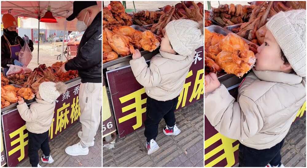 Photo of boy biting chicken meat.