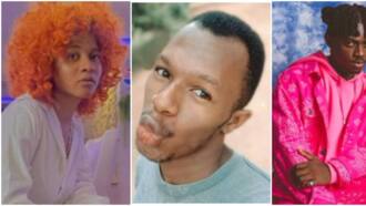 "Bryann not Phyna deserved to win": Daniel Regha drags Nigerians for being sentimental, gives many reasons