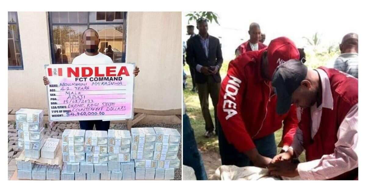 Man who wants to introduce fake $4.7 million into circulation arrested by NDLEA