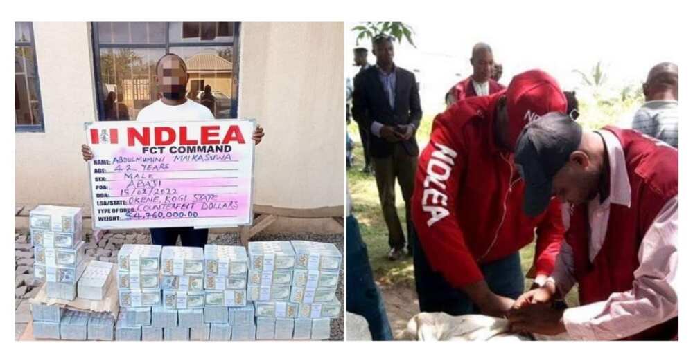 NDLEA nabs man for attempting put fake dollars into circulation
