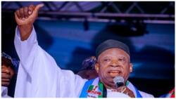2023: APC chairman Adamu, NWC, governors gear up for presidential guidelines