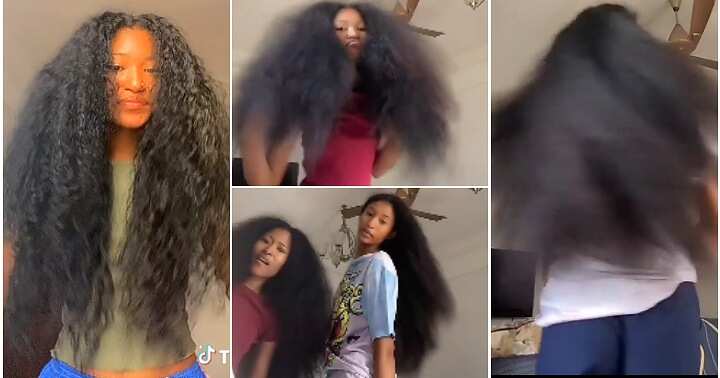 “They Are So Blessed”: Lovely Black Sisters Flaunt Pure Lengthy Hair in Video