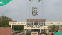 UNILORIN, Kwara college of education ban sign-out ceremonies, give reasons