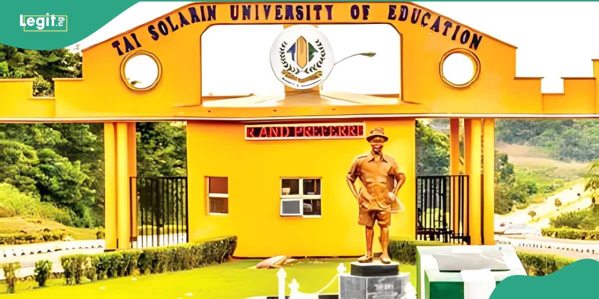 Details emerge as suspected cultists murder 400-level student in Nigerian university