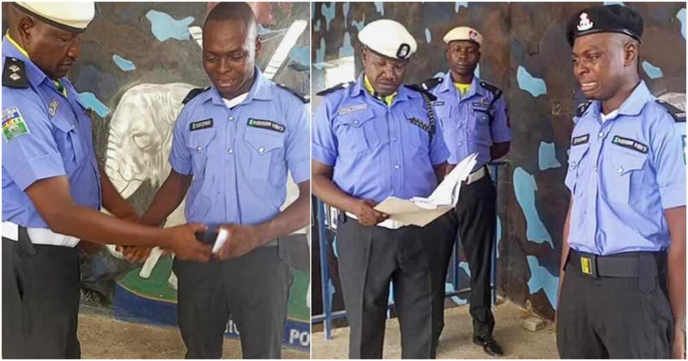 Adamawa police command
