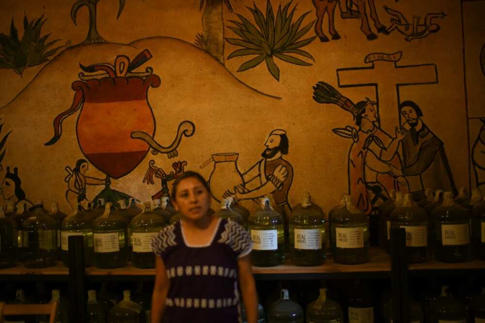 "Without magueys there's no mezcal," says distiller Graciela Angeles "Without magueys there's no mezcal," says distiller Graciela Angeles