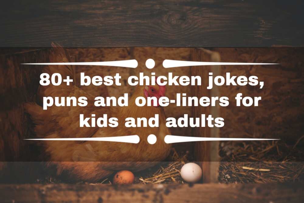 Chicken jokes