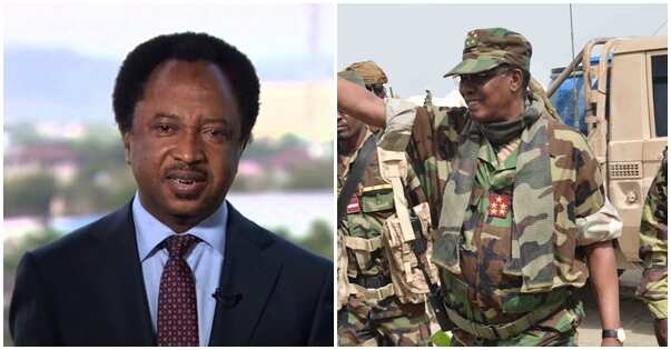 B' Haram: Commend Chadian troops but don’t forget Nigerian soldiers - Shehu Sani