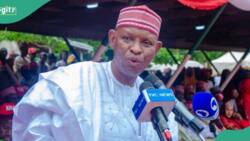 Kano govt approves N854m for mass wedding as palliatives? Governor Yusuf reacts