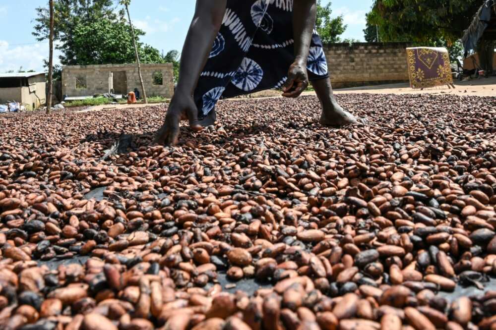 The two biggest cocoa producers have set down demands for manufacturers to pay higher prices for their growers