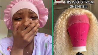 Beryl TV c98486b07becc4b6 Internet Reacts to Video of Woman Who Left Braids In for 9 Month: “A Whole Baby Was Born” 